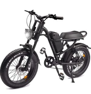 Yuirshion Vélo électrique, 20" x 4" Pouces Gros Pneu Vélo électrique pour Adultes, Batterie Massive Amovible 48V 15Ah E-Bike, VTT électrique 15.5 MPH, Professionnel Shimano 7 Vitesses