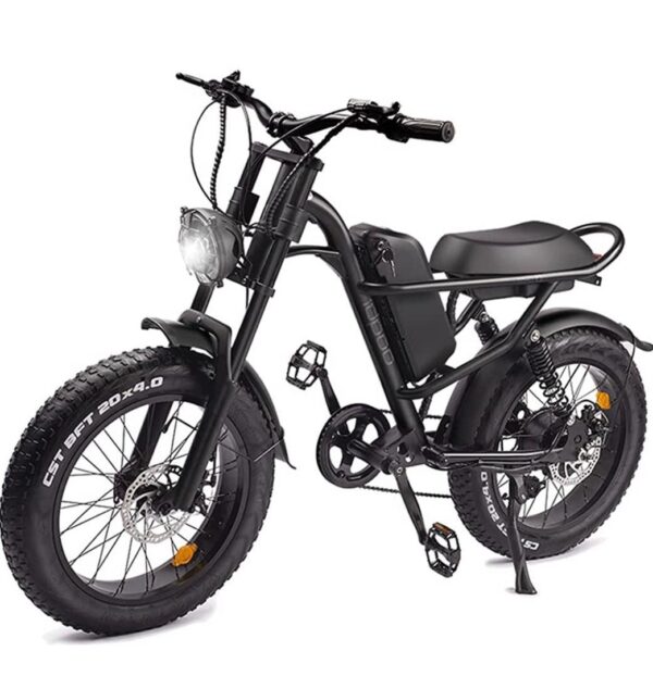 Yuirshion Vélo électrique, 20" x 4" Pouces Gros Pneu Vélo électrique pour Adultes, Batterie Massive Amovible 48V 15Ah E-Bike, VTT électrique 15.5 MPH, Professionnel Shimano 7 Vitesses