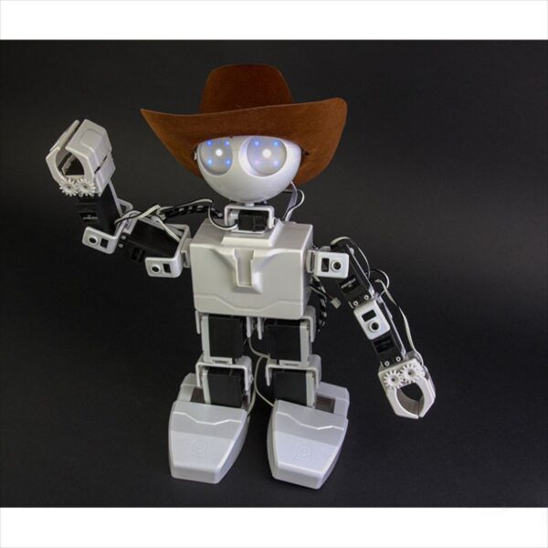Robot Humanoïde JD EZ-Robot – Image 6